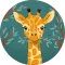 Katie S. Avatar